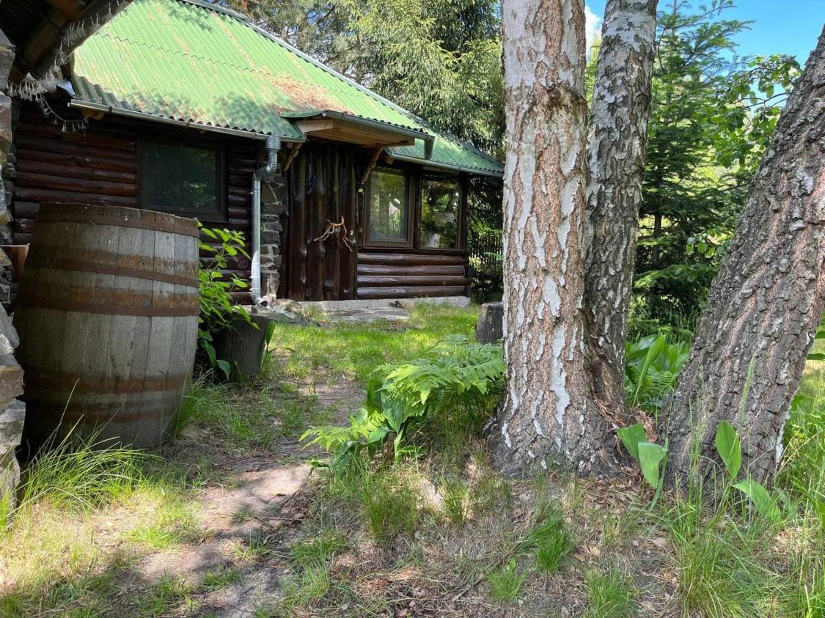 Zelenyi Rai Apartamento Svityaz' Exterior foto
