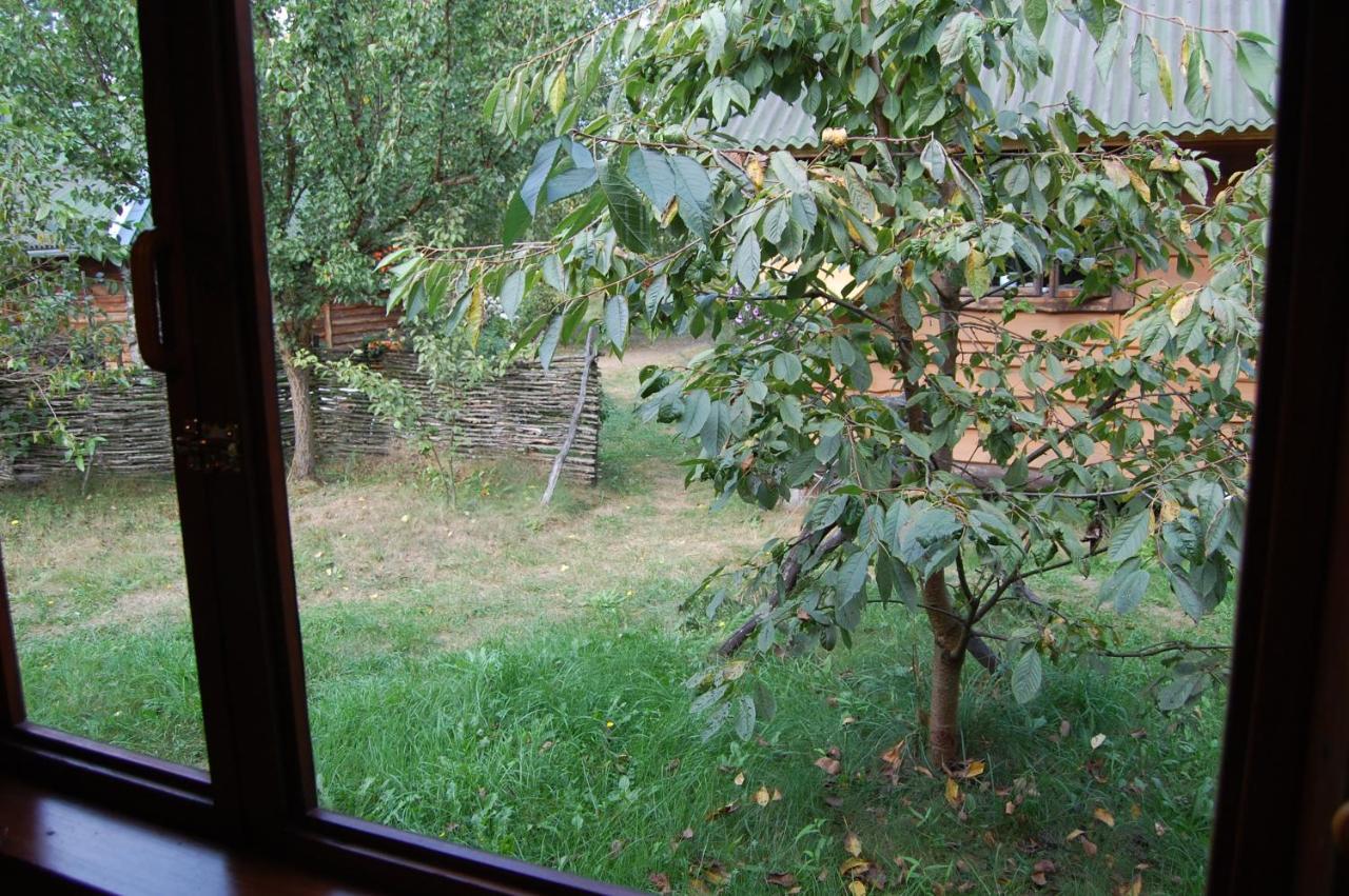 Zelenyi Rai Apartamento Svityaz' Exterior foto