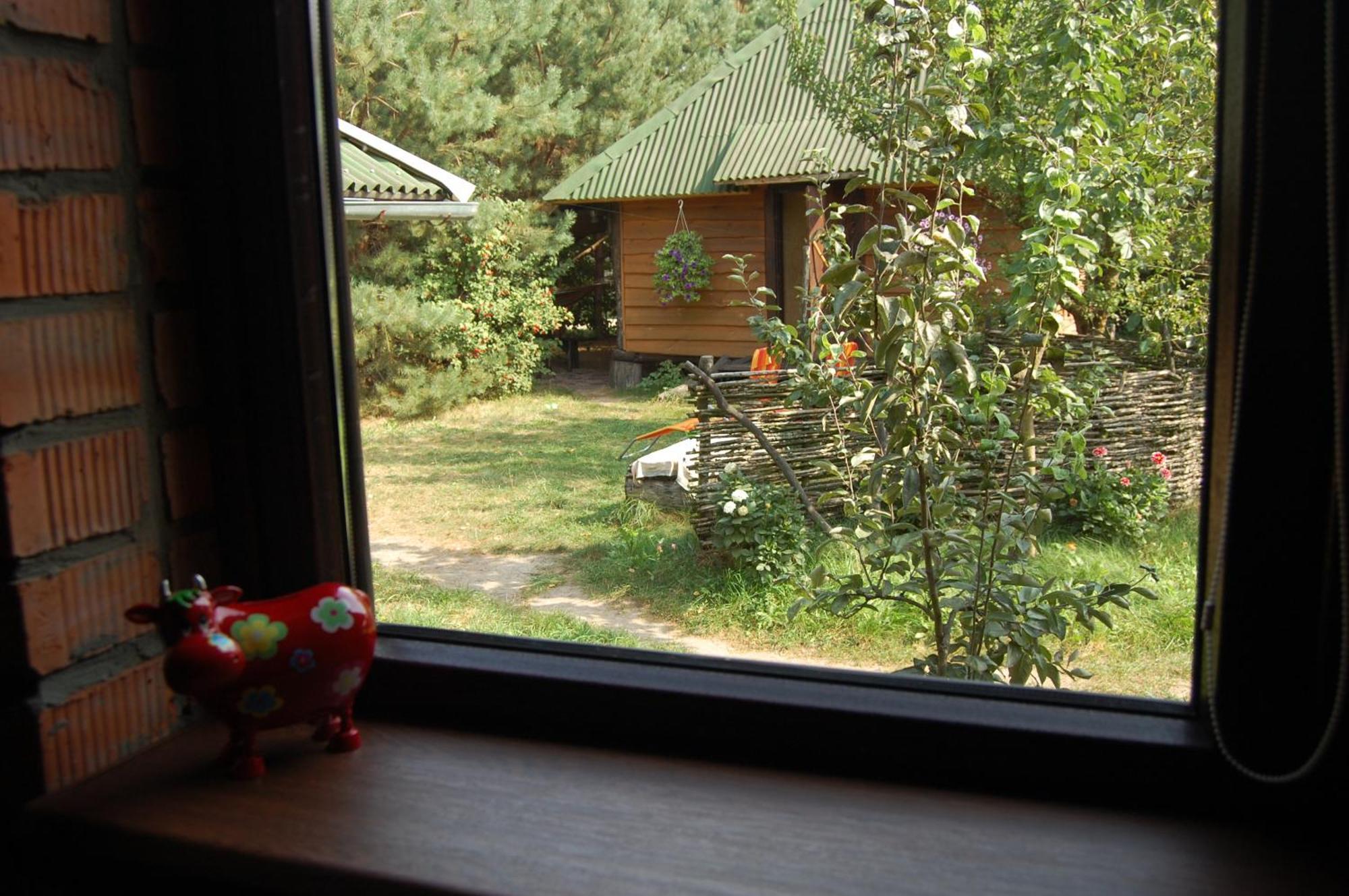 Zelenyi Rai Apartamento Svityaz' Quarto foto
